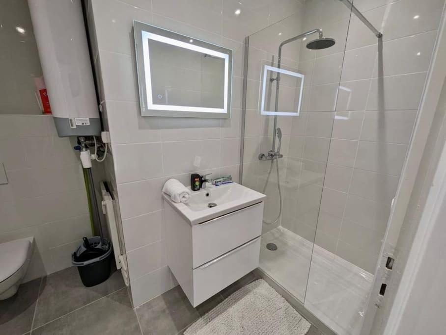 Appartement Magnifique T2 Refait A Neuf - Calme & Equipe Avec Parking *