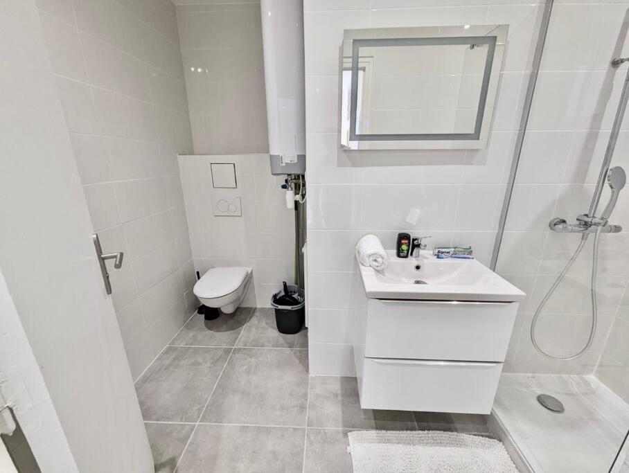 Magnifique T2 Refait A Neuf - Calme & Equipe Avec Parking Apartamento Grenoble